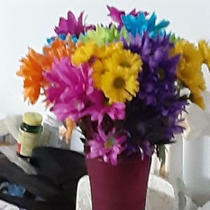 Meet your Posher, Wendy